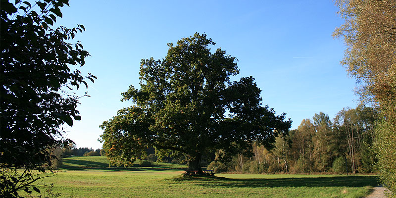Stacks Image 197
